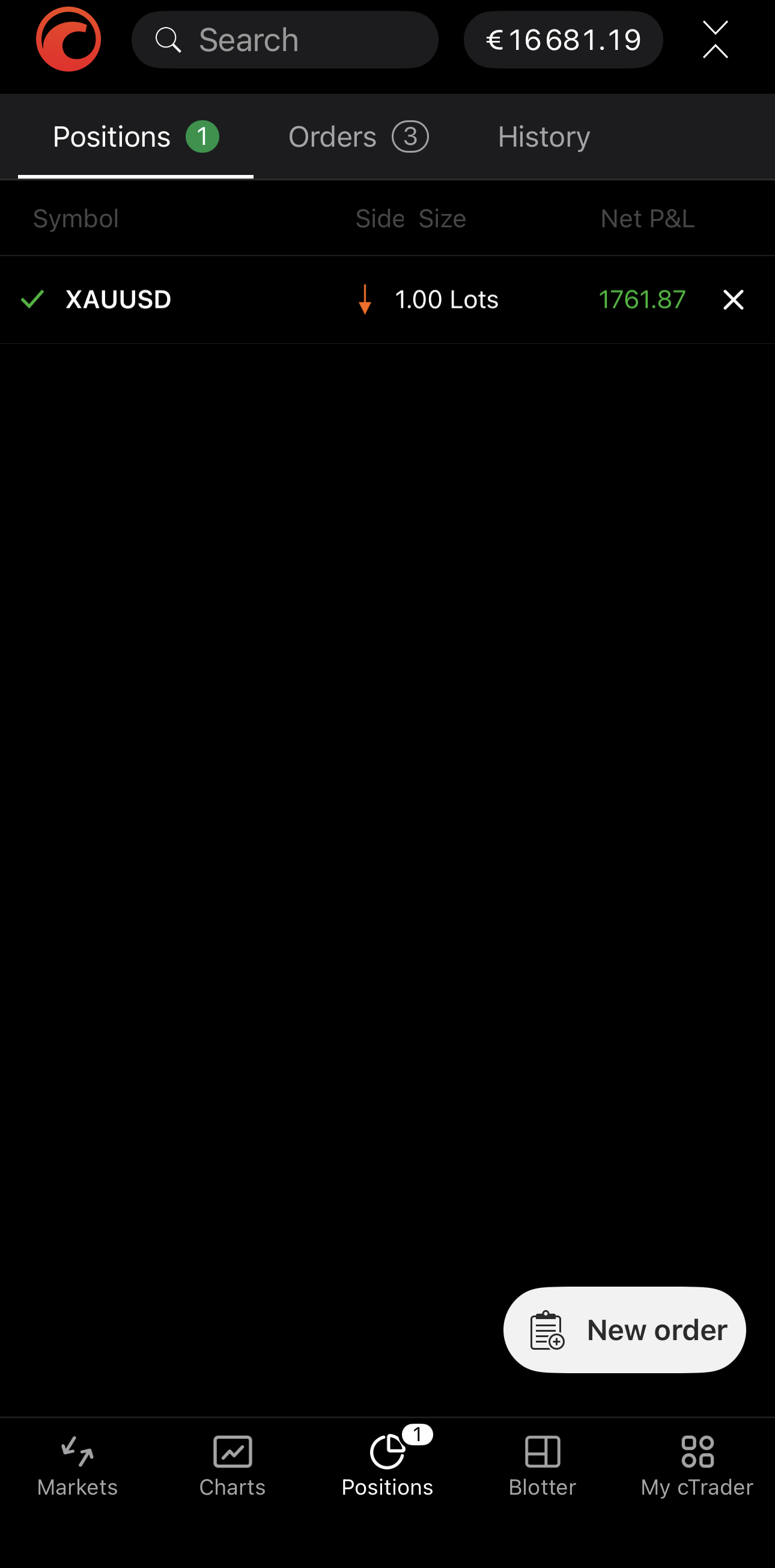 The New order button in Positions